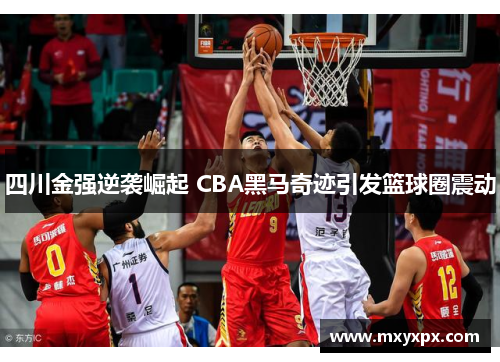 四川金强逆袭崛起 CBA黑马奇迹引发篮球圈震动